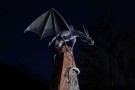 Phoenix Forge Dragon